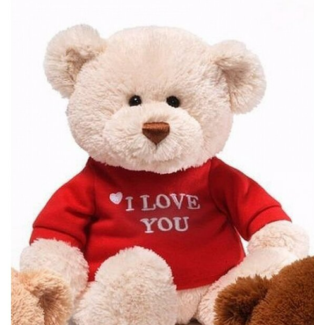 GUND -  I Love You 12" Bear 小熊公仔