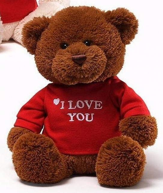 GUND -  I Love You 12" Bear 小熊公仔