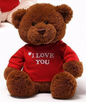 GUND - I Love You 12" Bear Bear Figure