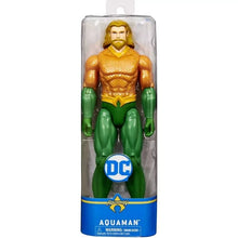 Load image into Gallery viewer, DC Universe Heroes 6056278 12&quot; Figure S1 V1
