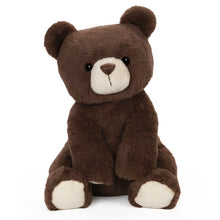 Load image into Gallery viewer, Gund Finley Bear Brown 13&quot;
